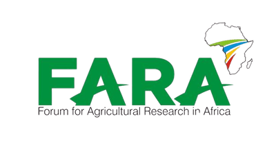 CGIAR research network